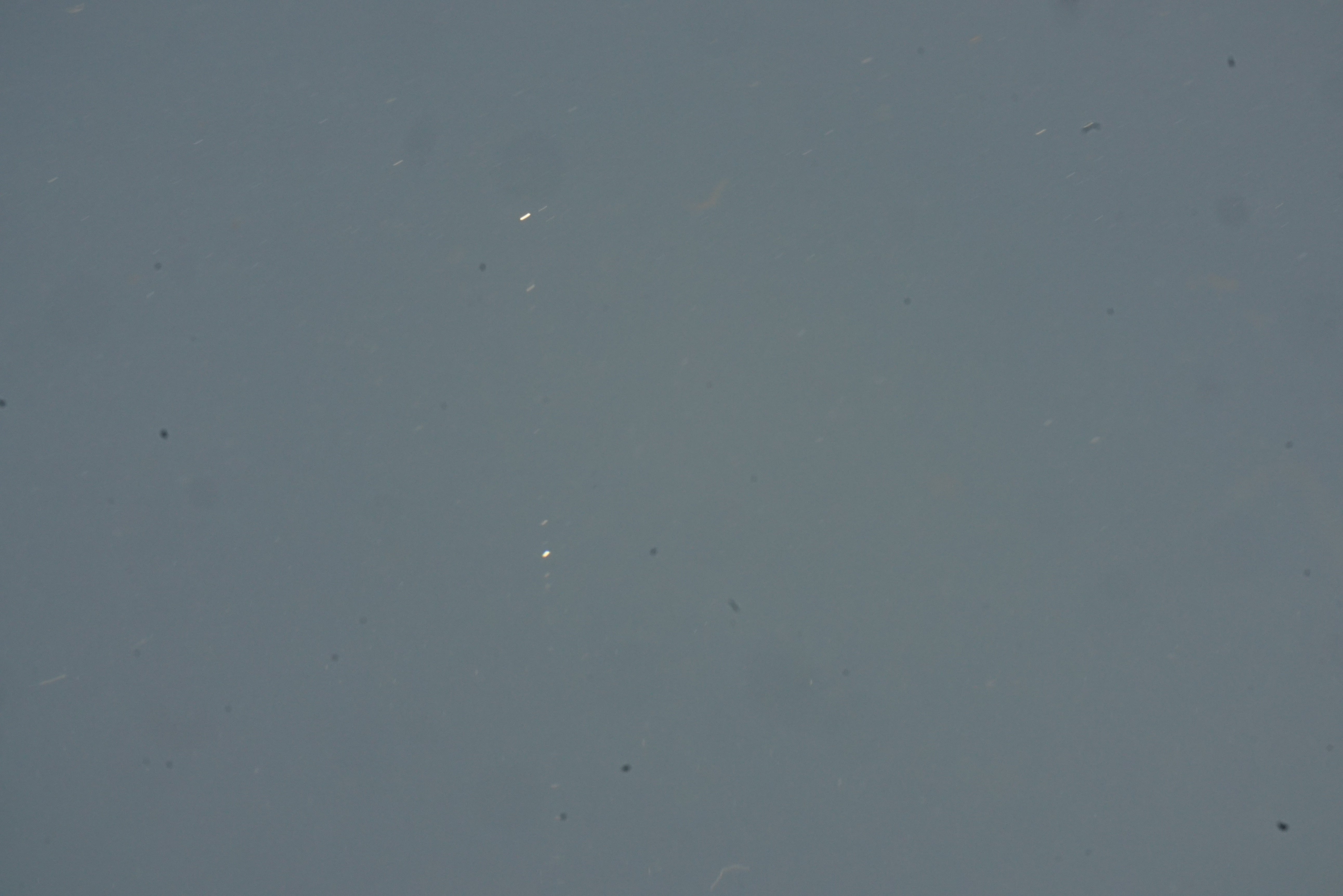 100. FLAT-6001200 (DEFEKT)